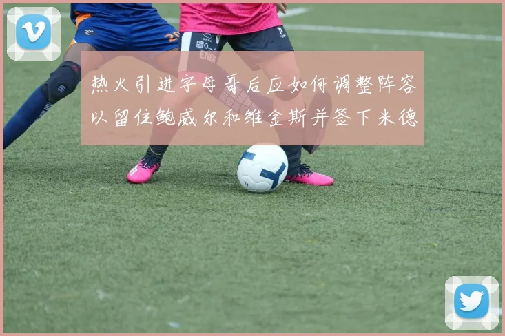 热火引进字母哥后应如何调整阵容以留住鲍威尔和维金斯并签下米德尔顿